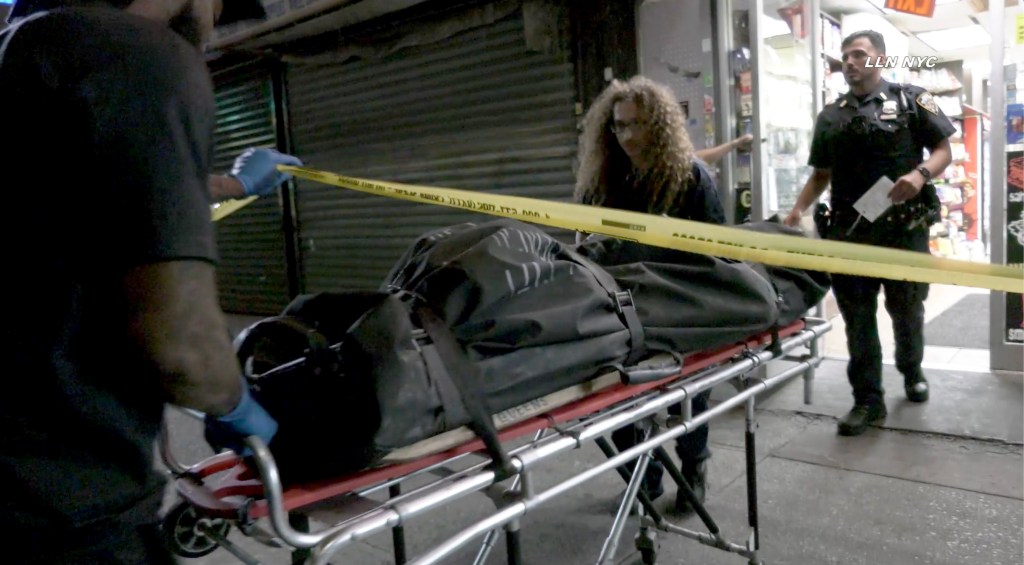 Body removed from Queens bodega.