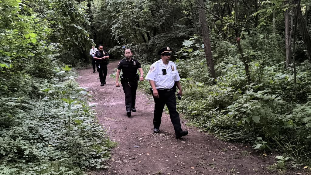 Four NYPD officers walking along a trail in the wooded area of Kissena Park where a 13-year-old girl was raped on June 13