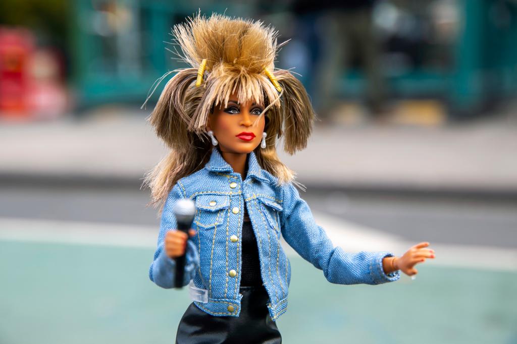 Tina Turner Barbie doll. 