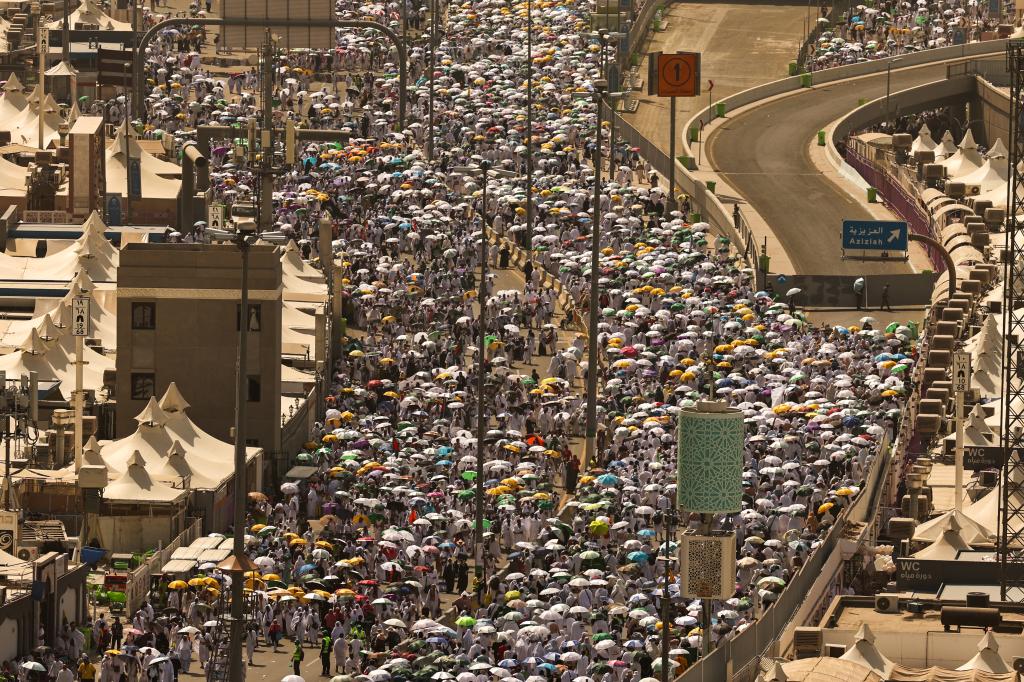 Muslim pilgrims during this year's hajj in Saudi Arabia. 