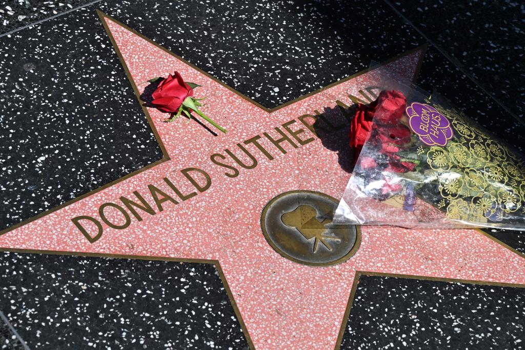 Flowers are placed on the star of late Canadian actor Donald Sutherland on the Hollywood Walk of Fame, on June 20, 2024 in Hollywood. 