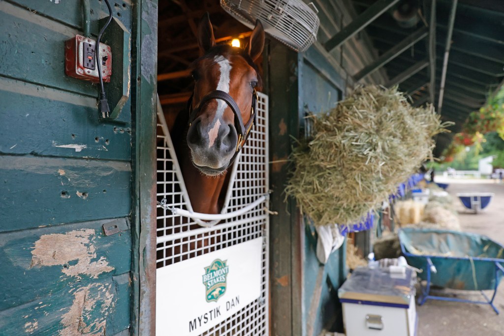 Mystik Dan poses for the NY Post in his barn at Saratoga Race Course in Saratoga Springs.