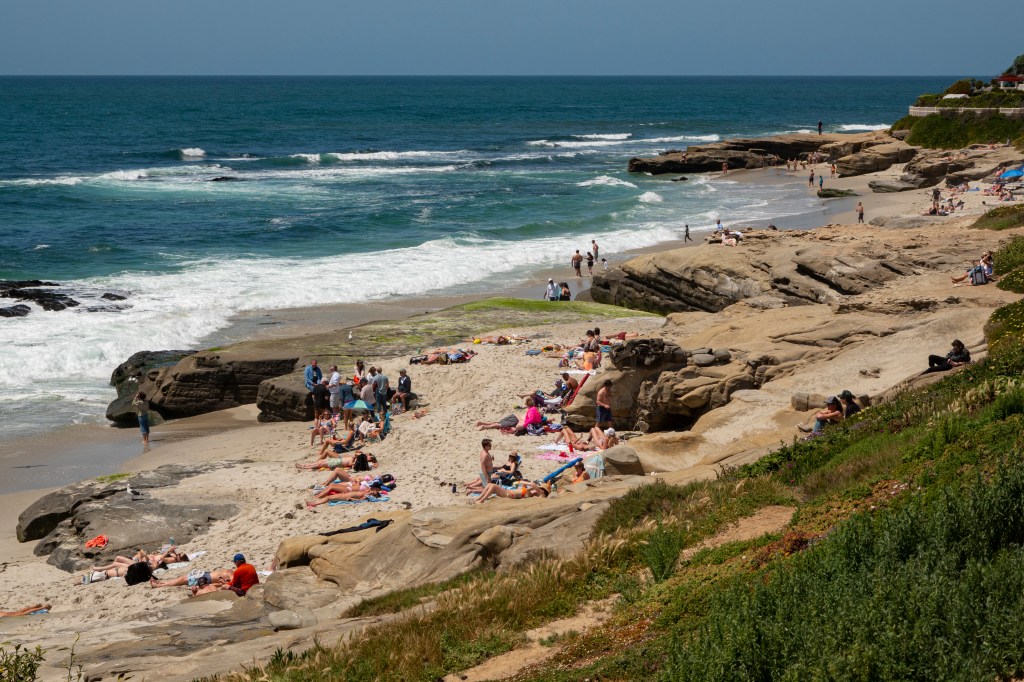 People relaxing on Windansea Beach in San Diego, a popular surfing destination