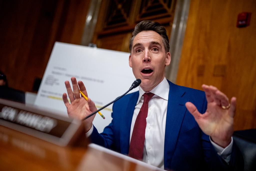 Senator Josh Hawley speaks during a congressional hearing.