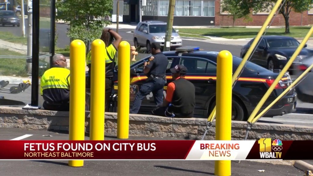 Police officers conducting an investigation on an MTA bus