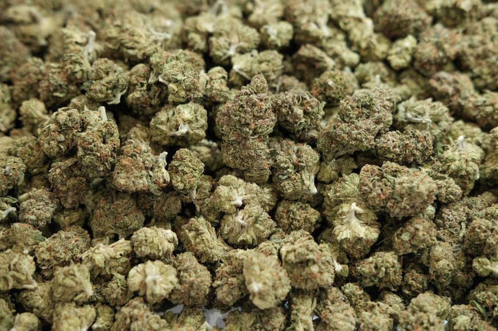 A pile of green cannabis buds representing the growth of the marijuana industry