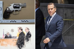 compostie image Hunter Biden right and his gunupper left, lower left a sketch of hunter drom cout