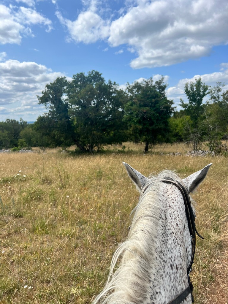 horseback riding at Camp 
Chateau