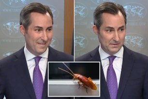 State Department cockroach