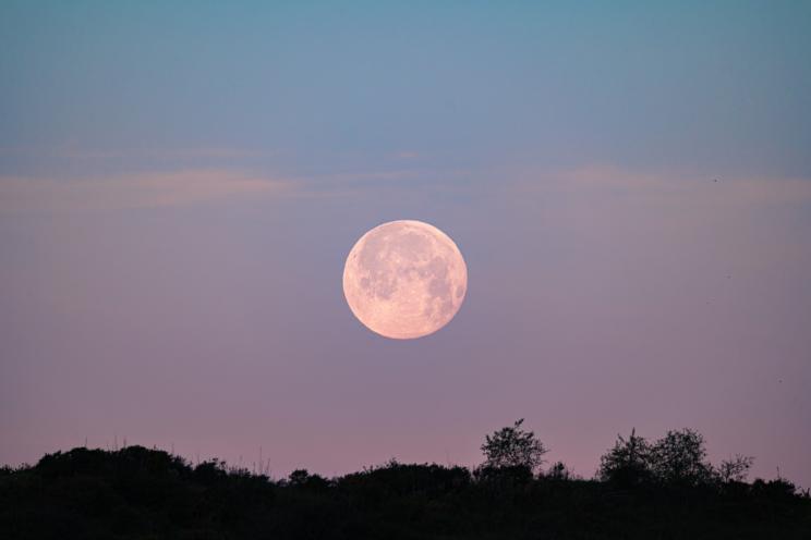 Luna llena rosa al amanecer Luna de fresa