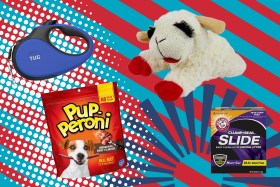 Don’t miss up to 53% off pet food and essentials during Chewy’s Fourth of July sale