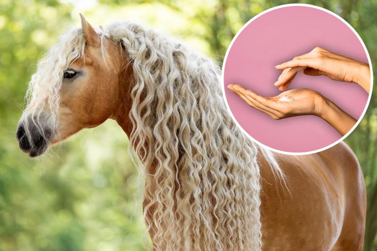 Picture of horse with beautiful mane and inset photo of hands with shampoo