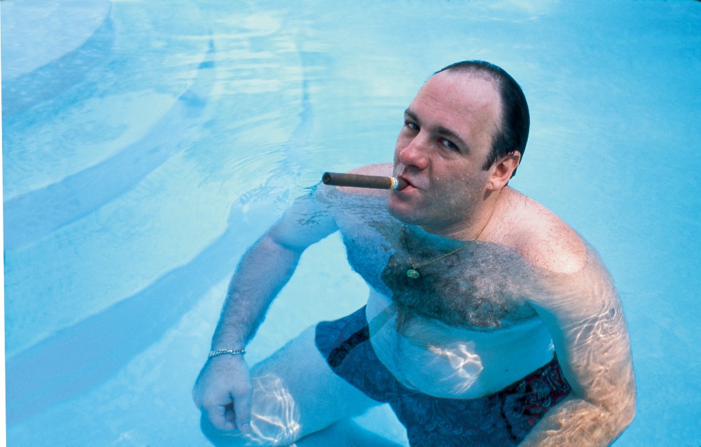 James Gandolfini as Tony Sorpano