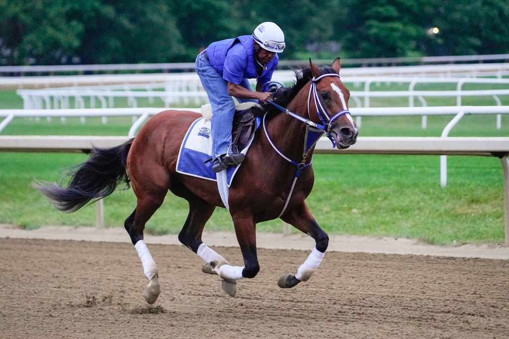 Belmont stakes contender Mystik Dan trains Thursday morning at the Oklahoma Training Track.