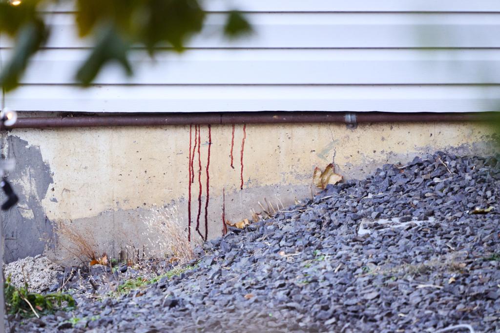 wall with blood