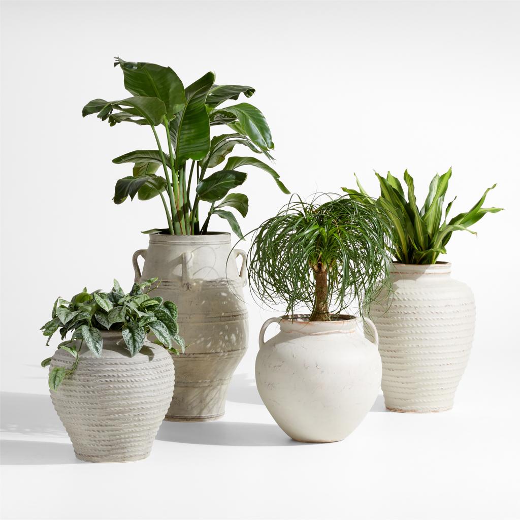 Cannes 29" Earthenware Indoor/Outdoor Planter by Laura Kim sold at Crate and Barrel, featuring a group of potted plants