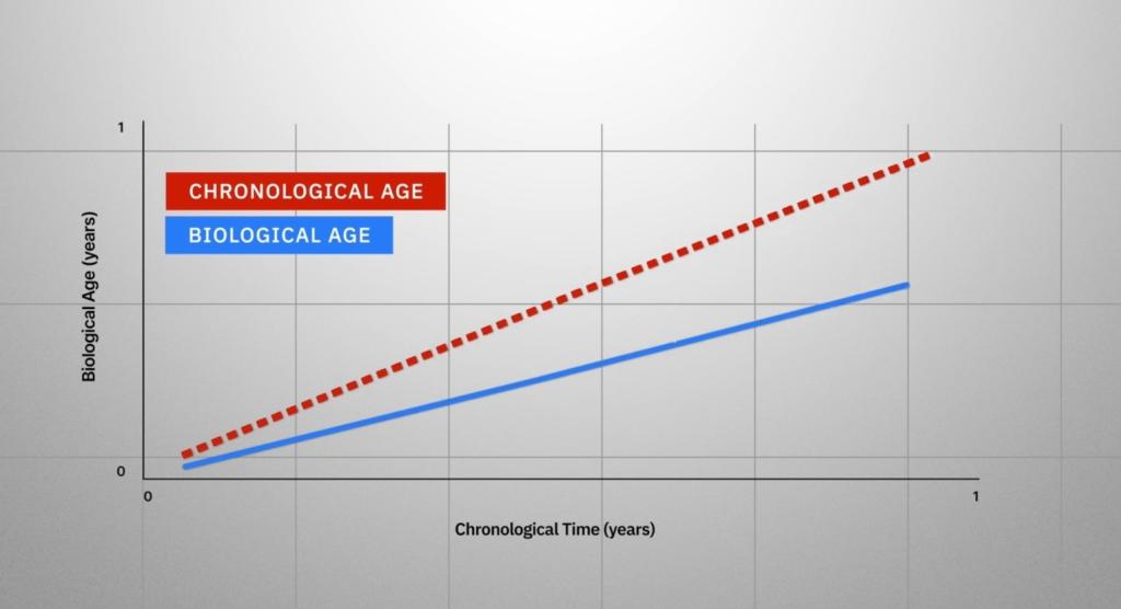 Johnson shared that he’s now hit his “personal best” in slowing down the aging process and is doing so at a rate of “0.64 x.”