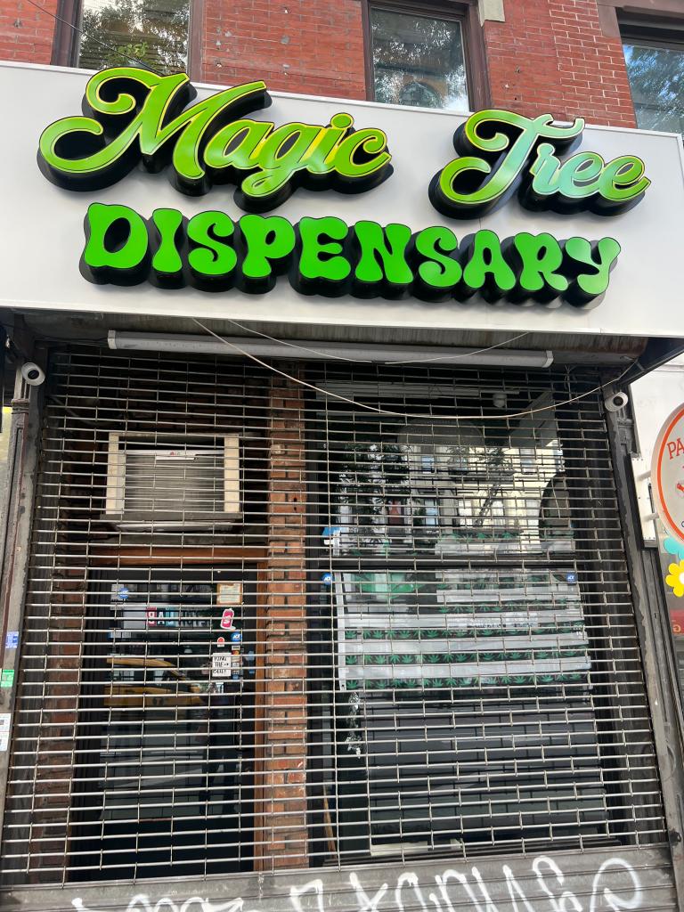 Exterior Magic Tree Dispensary. 