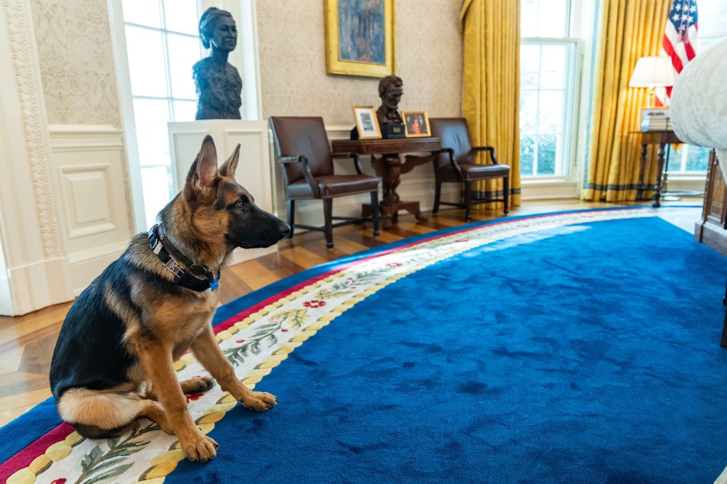 The Secret Service said it deleted footage of President Biden's dog Commander attacking an agent on on June 15, 2023.