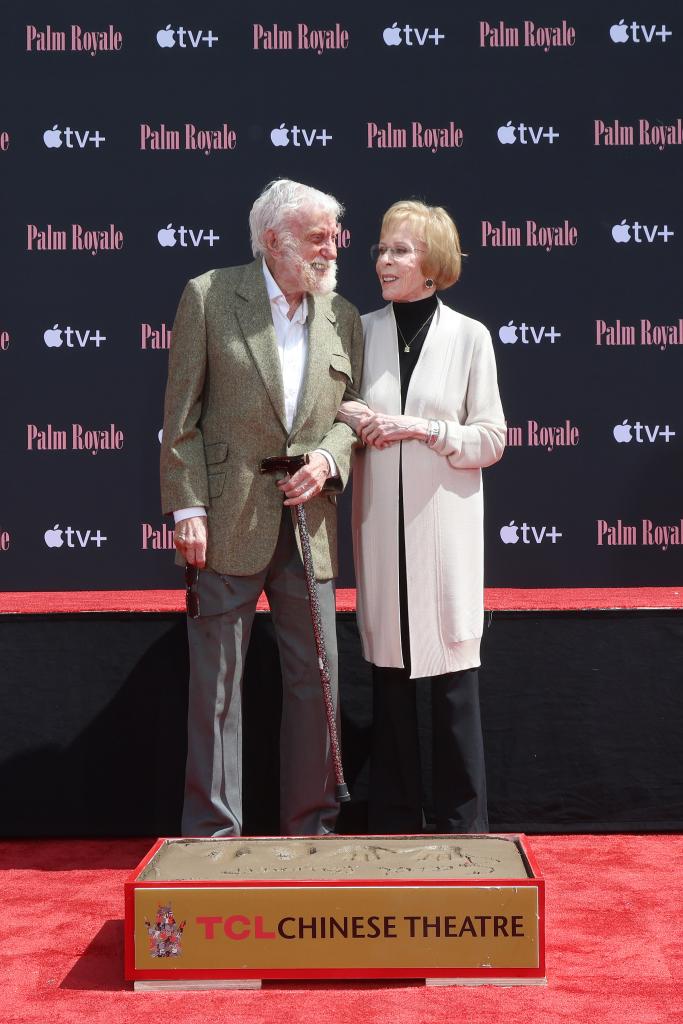 Dick Van Dyke and Carol Burnett looked thrilled to reunite. 