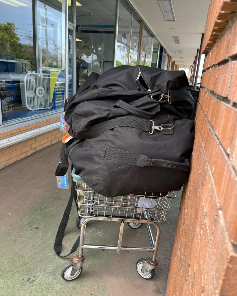 Parents paying for First Class Laundry Services to pack their kids for camp, depicted by a shopping cart with a bag on it