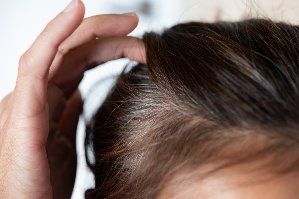 Going gray. Young woman shows her gray hair roots.