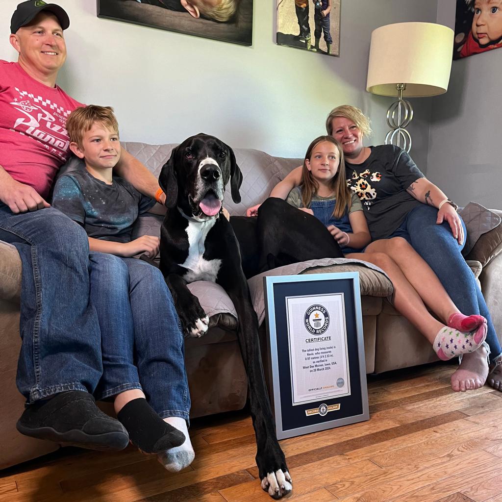 Kevin the Great Dane with Tracy and Roger Wolfe and their two kids, Alexander and Ava