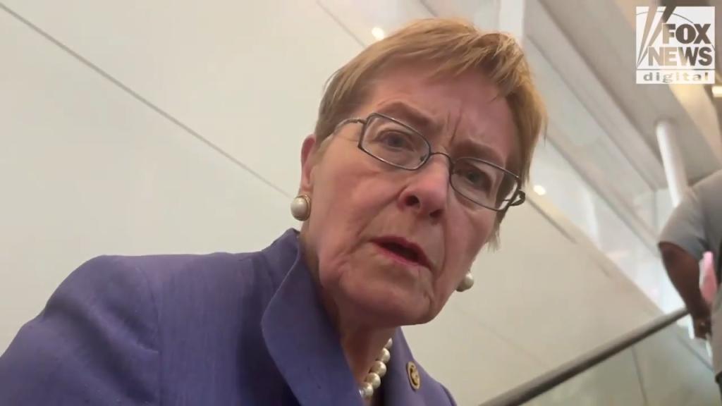 Democratic Rep. Marcy Kaptur snatched the phone of a man who asked her about President Biden's debate performance in a Detroit airport.