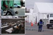 composite image: upper left migratn sitting on the ground with an nypd patrol car in the background; lower left migrants eating at long tables; right migrants waiting for bus