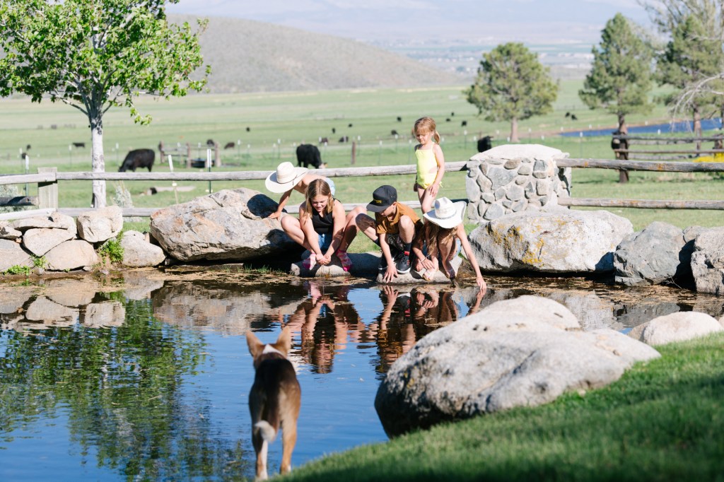 Kids seen playing in the pond at the ranch. 