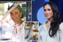 Meghan Markle unveils new jam, dog biscuits as cancer stricken sister-in-law Kate Middleton returns to spotlight