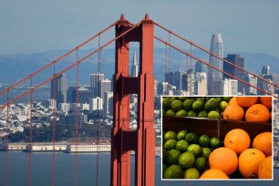 collage of golden gate bridge and fruit