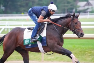 belmont stakes preview