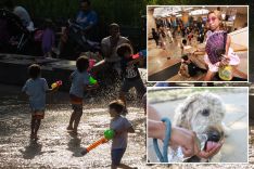 kids with water guns dog drinking water person with fan