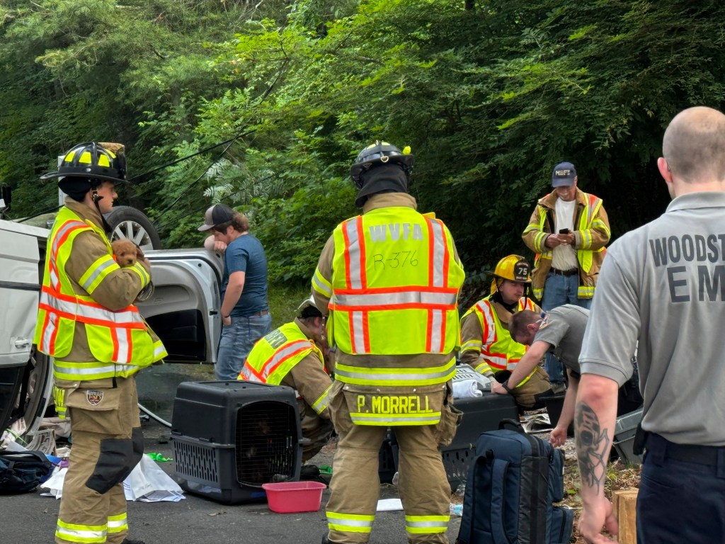 In this photo provided by Woodstock Volunteer Fire Association, a minivan carrying more than a dozen puppies hit a utility pole and rolled over in Woodstock, Conn.