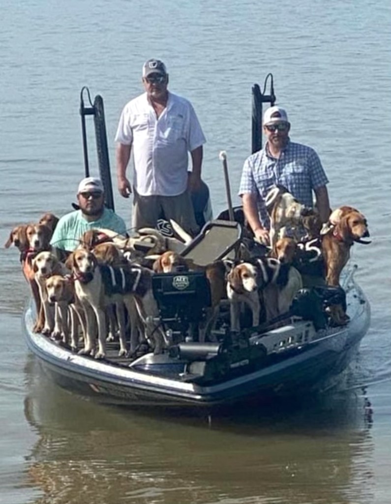 Fisherman Brad Carlisle, left, and fishing guide Jordan Chrestman bring one of three boatloads of dogs back to shore after they were found struggling to stay above water far out in Mississippi's Grenada Lake. 