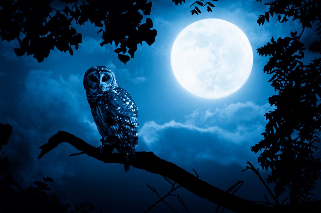 New research finds that being a night owl is bad for your mental health.