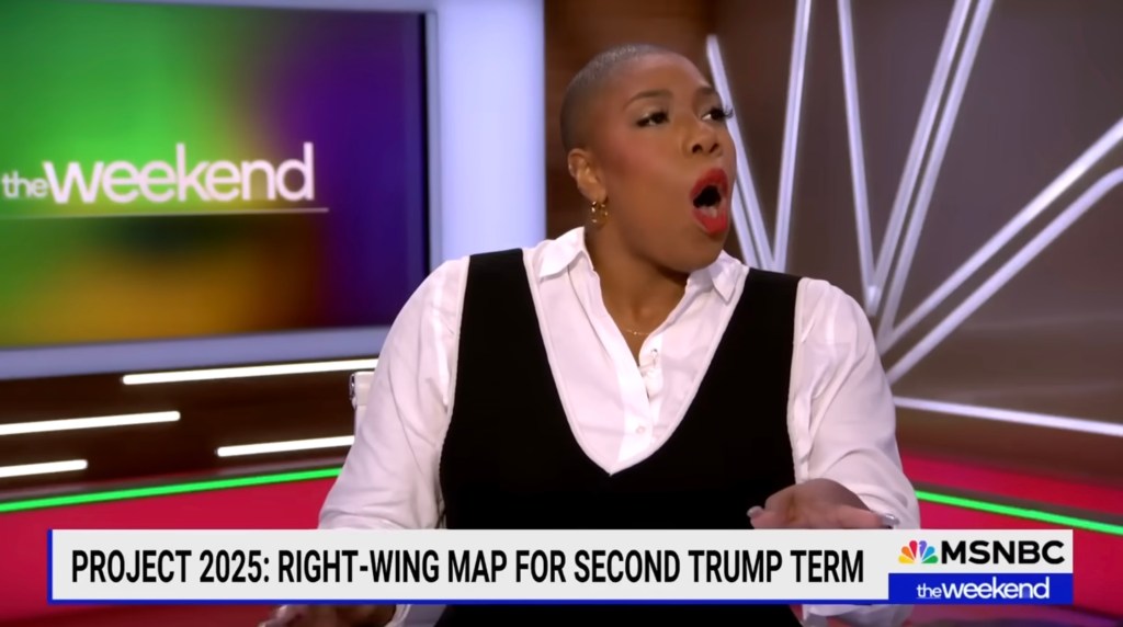 Symone Sanders-Townsend said the network uses the term "undocumented individual."