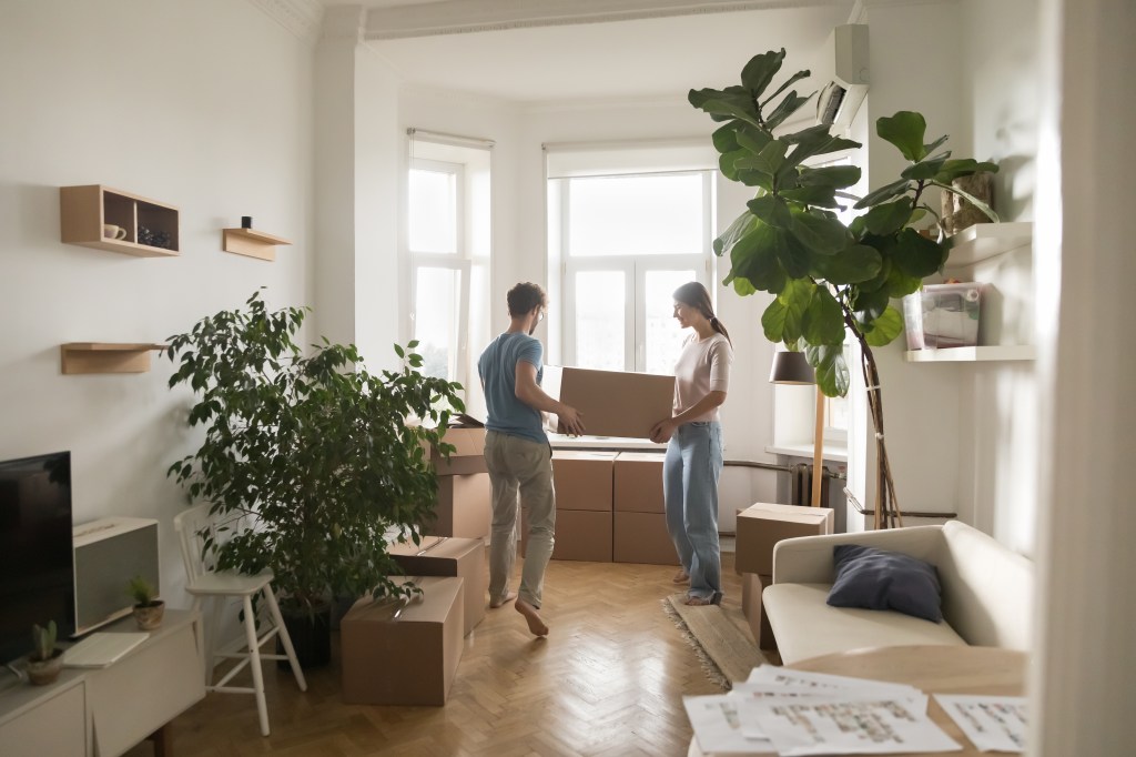 Young married couple carrying boxes into rented flat, cozy room with houseplants, moving into new home after renovation, buying apartment, enjoying relocation