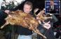 Unsettling photo appears to show RFK Jr. with barbequed carcass of dog