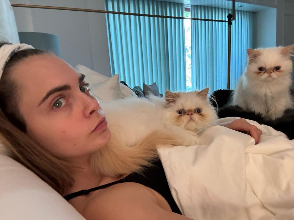 Cara Delevingne with her two cats 