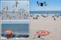 Flock off! Angry birds are attacking NYC beach drones that are in the sky to help to save drowning swimmers