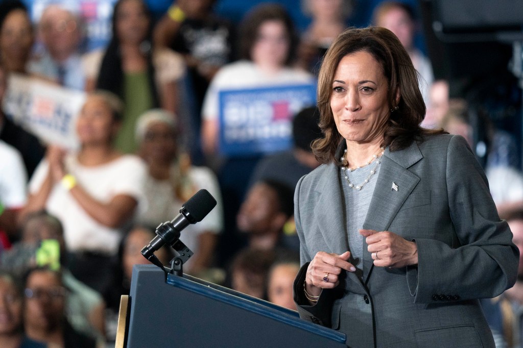 U.S. Vice President Kamala Harris speaks to a crowd during a campaign event at James B. Dudley High School on July 11, 2024 in Greensboro, North Carolina. 