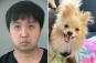Texas husband killed wife's dog, claiming she loved pooch more than him: cops