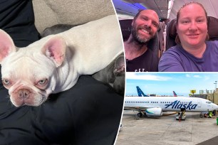 Oregon couple Gary and Angie Engelgau were devastated after their dog Frank died of overheating on an Alaska Airlines flight waiting to depart Oahu, Hawaii.