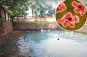 Brain-eating amoeba kills teen after he went swimming in contaminated water — third death in 2 months