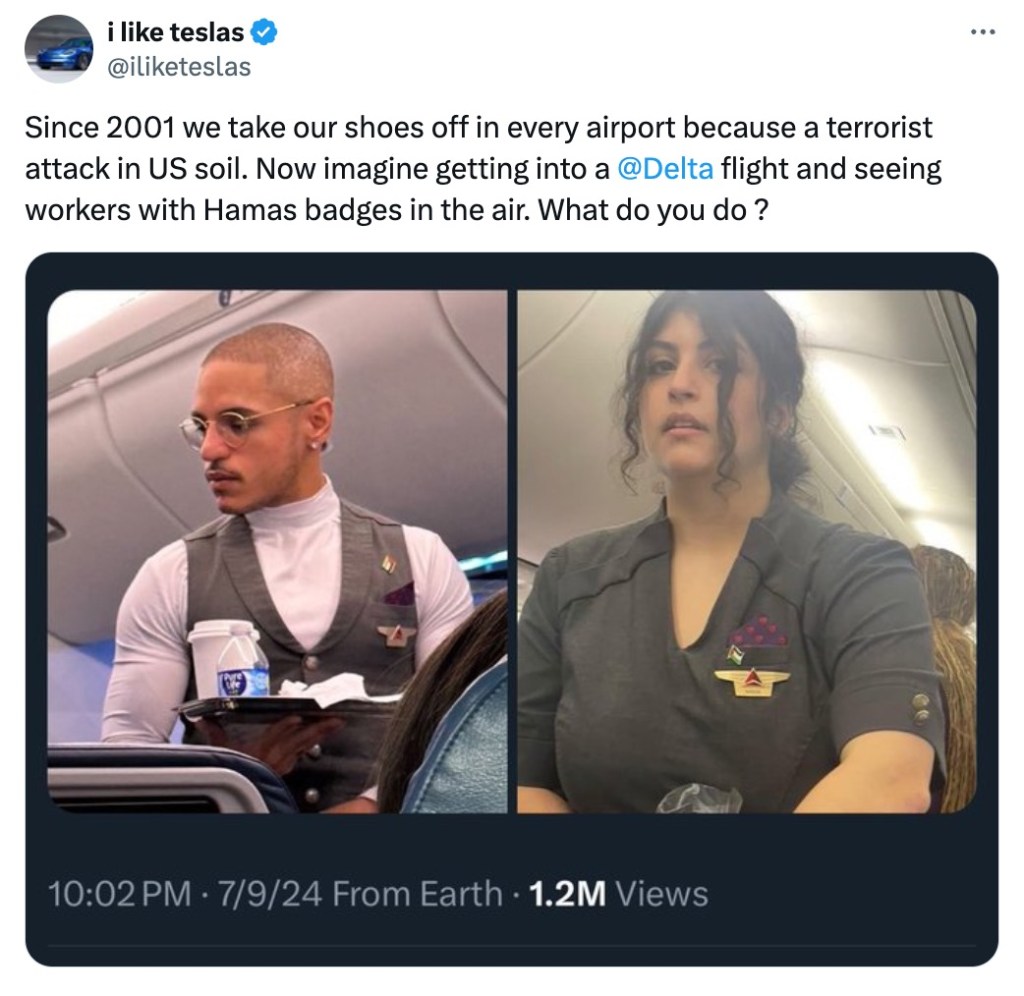 Two Delta flight attendants wearing Palestine flag pins inside an airplane