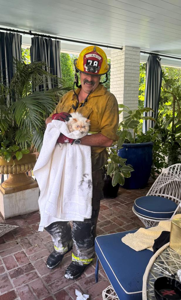 A firefighter rescuing Cara Delevingne's cat