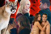 A collage of pictures from Idea of You, A Family Affair and Desperate Housewives with a photo of a cougar - the animal