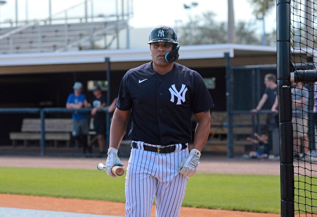 Carlos Narvaez was recently called up to replace Jose Trevino on the Yankees' roster.